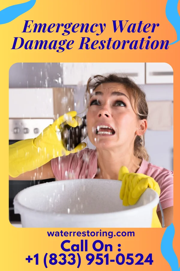 Emergency Water Damage Restoration in Oroville, WA