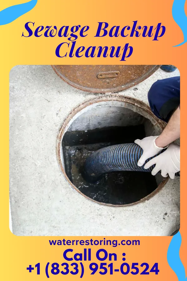 Sewage Backup Cleanup in Oroville, WA